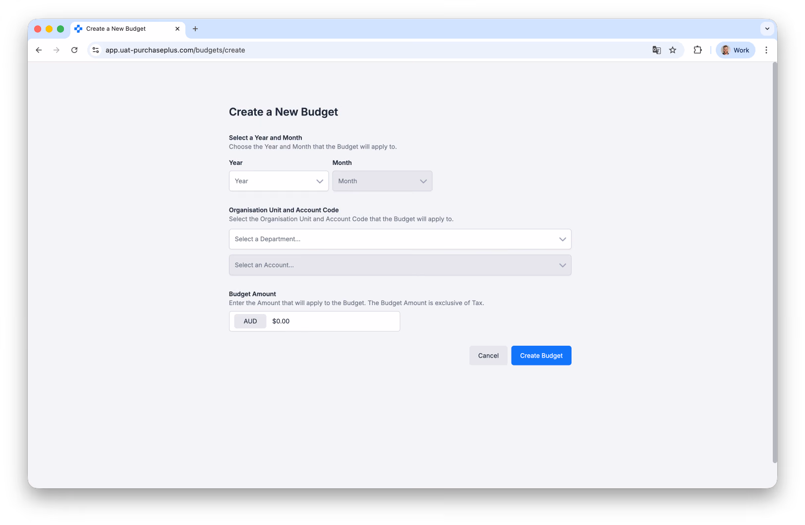 Create Budget form