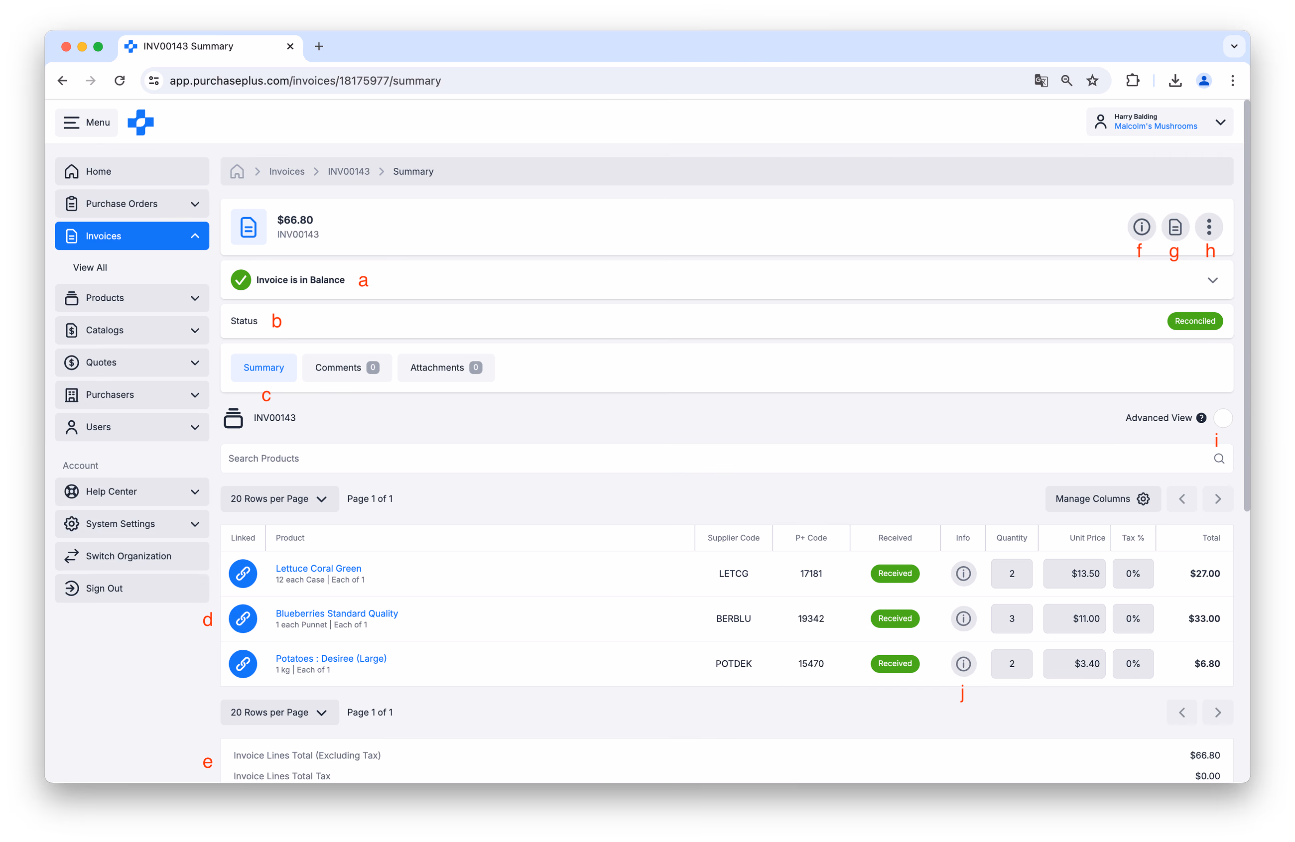 Supplier View of a Single Invoice