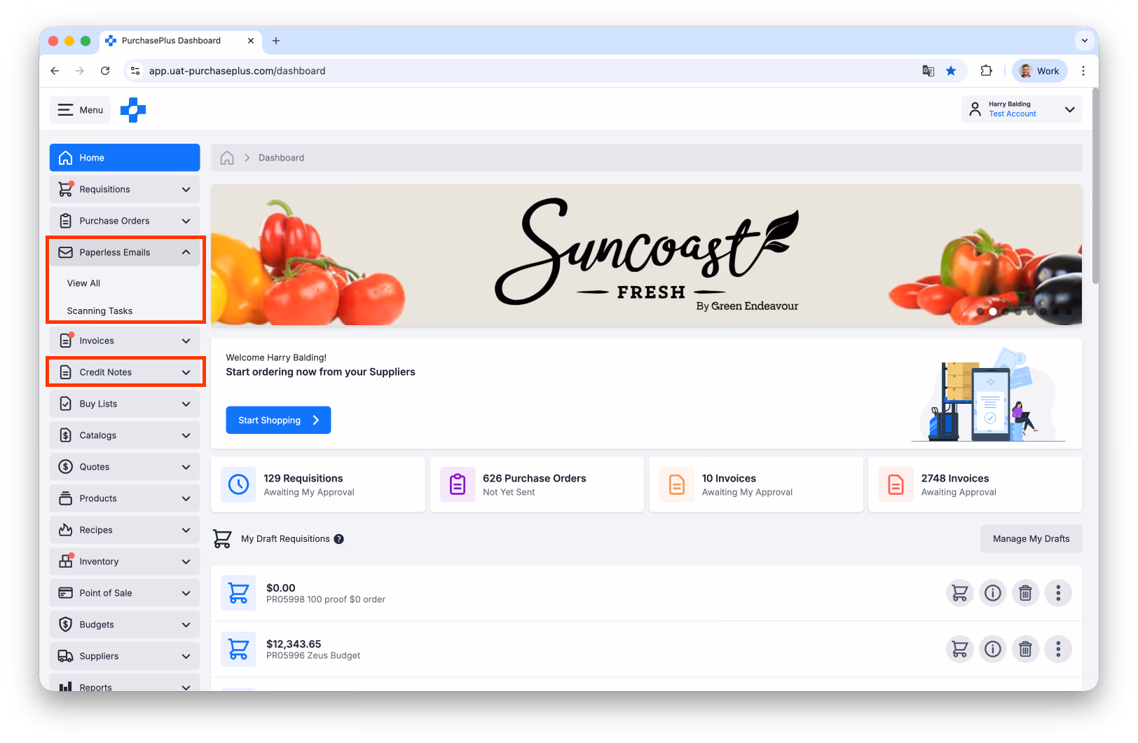 Dashboard sidebar highlighting Paperless Emails and Credit Notes